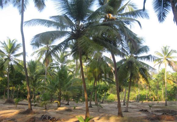 Holiday home Soumitra *